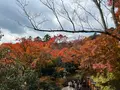 鞍馬寺の写真_478915