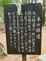 木の根道の写真_478921