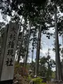 大杉権現社の写真_478923