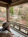 貴船神社の写真_478927