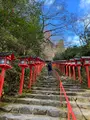 貴船神社の写真_478929