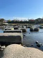 鴨川デルタの飛び石の写真_478938