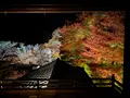 瑠璃光院の写真_478946