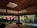 瑠璃光院の写真_478947