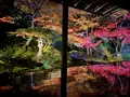 瑠璃光院の写真_478948