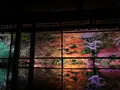 瑠璃光院の写真_478949