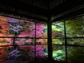 瑠璃光院の写真_478950