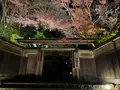 瑠璃光院の写真_478951