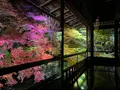 瑠璃光院の写真_478952