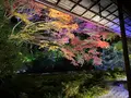 瑠璃光院の写真_478953