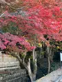蹴上インクラインの写真_478991