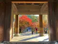 南禅寺の写真_479027