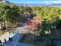 南禅寺の写真_479031