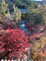 南禅寺の写真_479032