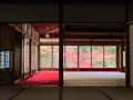 天授庵の写真_479044
