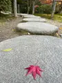 天授庵の写真_479046