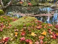 天授庵の写真_479047