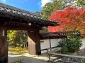天授庵の写真_479048