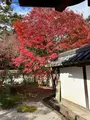 天授庵の写真_479050