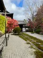 天授庵の写真_479051