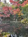 天授庵の写真_479052