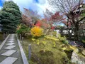 天授庵の写真_479053
