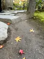 天授庵の写真_479055