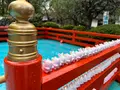 岡崎神社の写真_479081