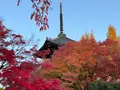 真如堂（真正極楽寺）の写真_479093