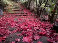 栄摂院の写真_479104