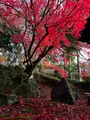 栄摂院の写真_479106