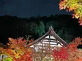 永観堂（禅林寺）の写真_479122