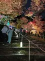 永観堂（禅林寺）の写真_479125