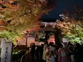永観堂（禅林寺）の写真_479128