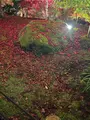 永観堂（禅林寺）の写真_479130