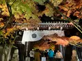 永観堂（禅林寺）の写真_479131