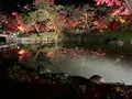 永観堂（禅林寺）の写真_479132