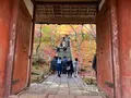 常寂光寺の写真_479154