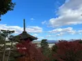 常寂光寺の写真_479160