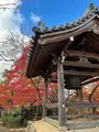 常寂光寺の写真_479165