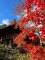 常寂光寺の写真_479167