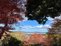 常寂光寺の写真_479168