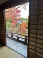 宝筐院の写真_479191