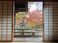 宝筐院の写真_479192
