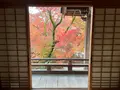 宝筐院の写真_479194