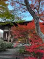 宝筐院の写真_479198