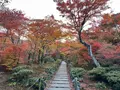 宝筐院の写真_479200