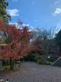 法輪寺の写真_479332