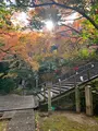 法輪寺の写真_479335