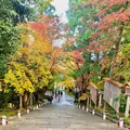法輪寺の写真_479339